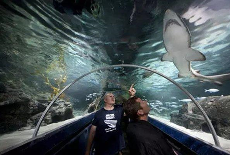 【新西兰奥克兰景点】新西兰奥克兰最值得一游的景点汇总 - 水下世界｜熊猫速汇 PandaRemit