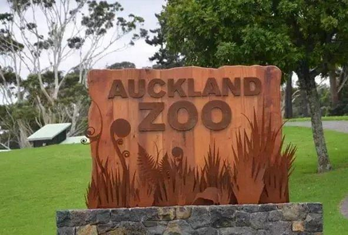 【新西兰奥克兰景点】新西兰奥克兰最值得一游的景点汇总 - 动物园｜熊猫速汇 PandaRemit