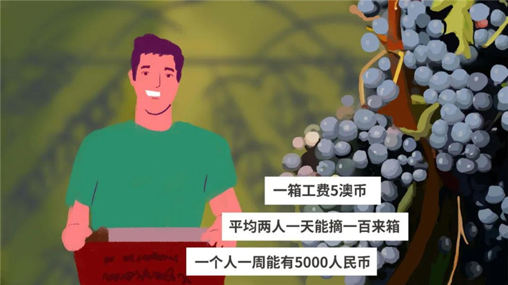 【熊猫速汇】揭秘：在澳打工华人，今年赚了多少钱？
