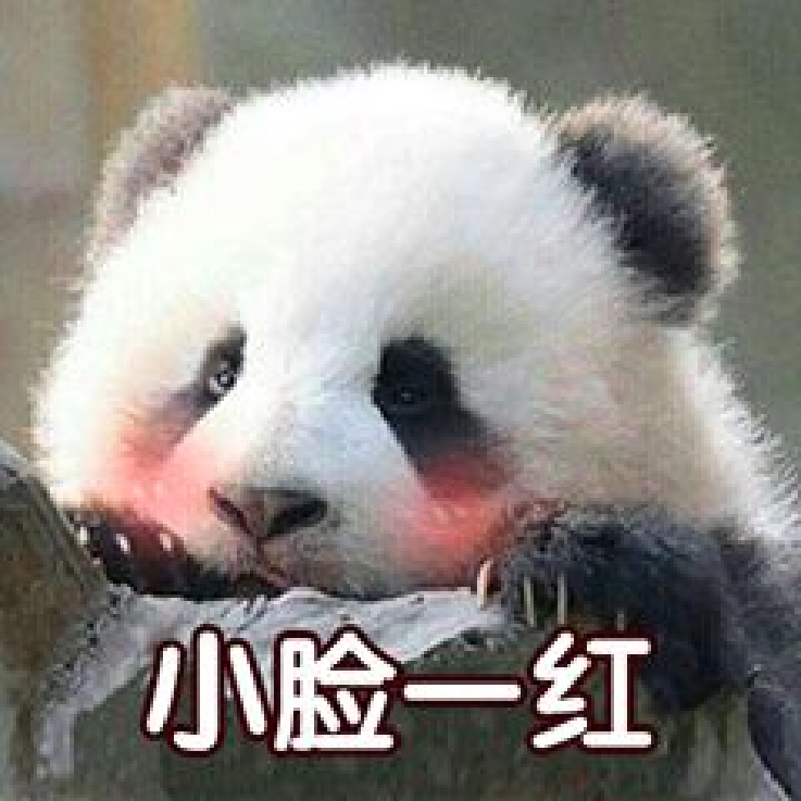 【熊猫速汇】今年人民币要跌了吗？！