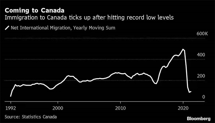 加拿大华人占比超5.1%，熊猫速汇助您汇款回国